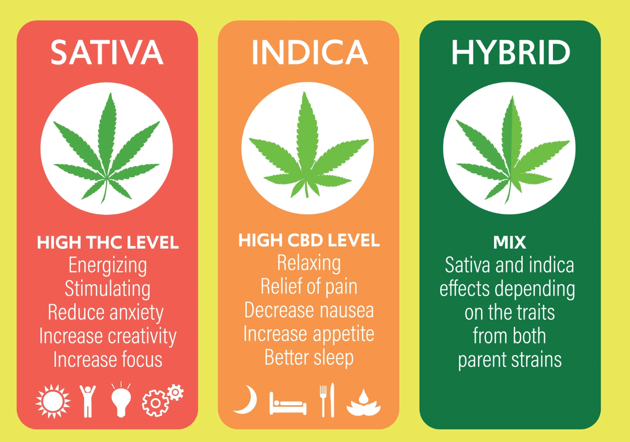 Exploring the Benefits of Indica Vape Cartridges: Are They Good and ...